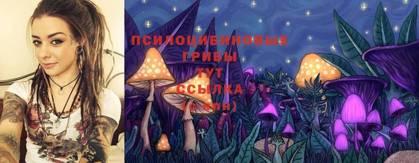МДМА Бежецк
